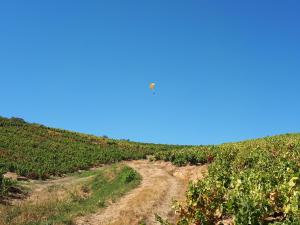 Hotels Le Mont Brouilly : photos des chambres