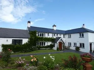 Bournestream - Withycombe