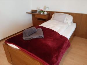 Single Room with Balcony room in Dorfwirt Fridolfing