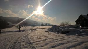 Appartement Angelika