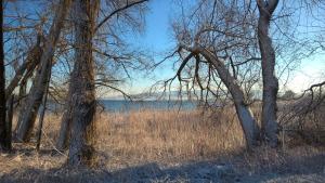 Appartement Angelika