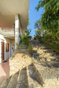 An Edens Garden Near The Sea - Pansion Youli