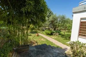 An Edens Garden Near The Sea - Pansion Youli - 塞利亚尼蒂卡