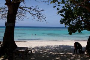 Port Antonio, Jamaica.