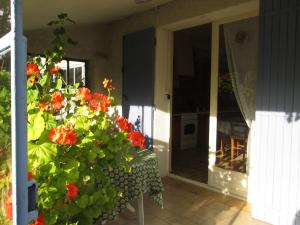 Maisons de vacances Gite des Geraniums : photos des chambres