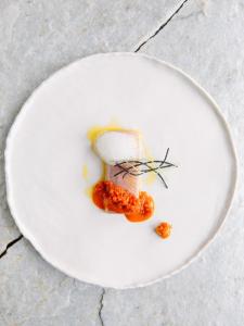 terra the magic place