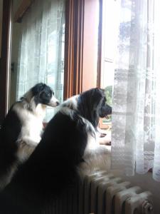 Apartmán na Polesí