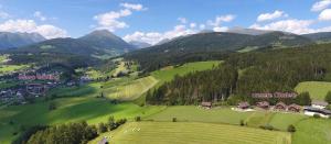 Alpenchalets Weissenbacher