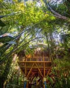 Universo Pol Bamboo Hostel