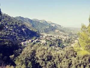 Vtar Pilar 3 - El Palomar