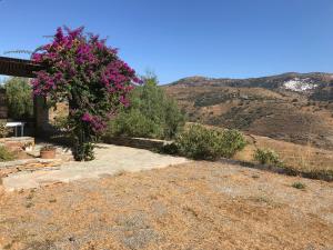 The Hill Top House in Kea Kea Greece