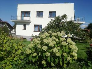 Apartament Mamamiry