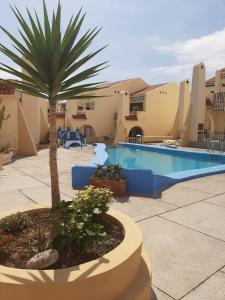 Comfortable apartment next to the pools