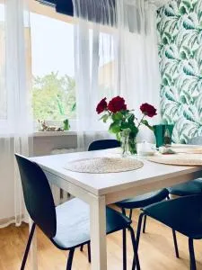 Legnica Apartament 42m2 Delux 4 - Legnica