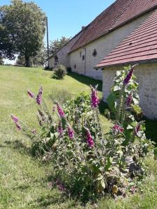 Maisons d'hotes Le Perche ceronnais : photos des chambres