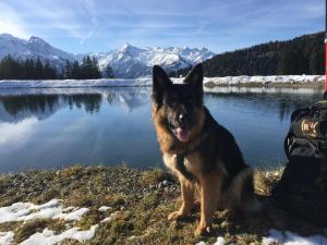 Apartment Schmitten 67