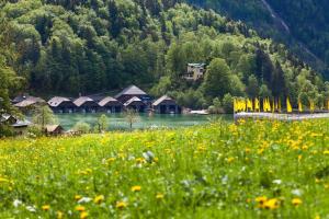 Ferienwohnung Hafnerlehen - wohnen mit Seeblick