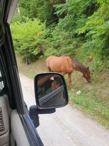 Vargiani Stone Retreat with Fireplace & View