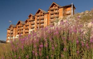 Appart'hotels Residence Odalys Rochebrune : photos des chambres