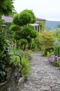 Jardin de Belle Vue photo 6