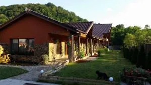 Pensiunea Raiul Munților - 伊内乌