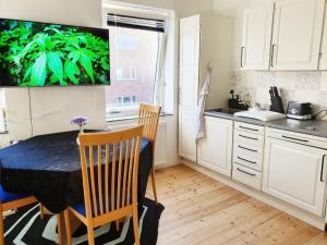 Struer Town Apartment