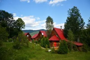 Teremok Guest House - Dubrynychi