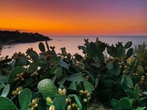 Ogliastro Sul Mare - Sleep and Dream