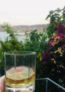 Daskalio Resort