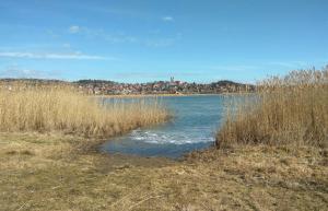 Lívia Apartman