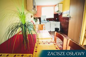 Zacisze Osławy Agroturystyka