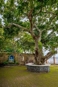 Casa dela Playa (House by the Beach)