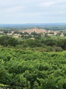 Maisons d'hotes Le Colombier : photos des chambres
