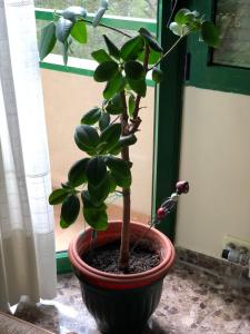 Vivienda Familiar junto Plaza Toros de Teruel