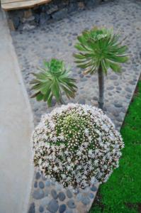 El Susurro Ecoliving_VILLA PARDELA