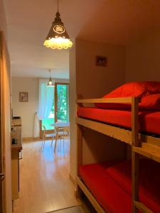 Appartements Chamonix Studio Jardin : photos des chambres