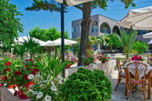 Hotel Barracuda Halkidiki Greece