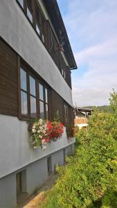 Apartmán na Polesí