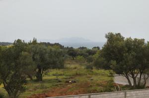 Apartments with parking space Biograd na Moru, Biograd - 5282