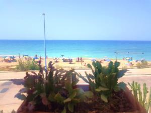 Holiday House Mizzica che mare!