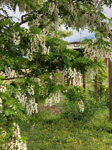 Residenza San Bartolomeo