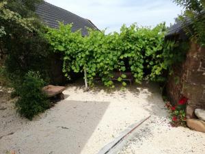 Maisons de vacances Lanteuil Maison de vacances a cote de brive et collonge la rouge : photos des chambres