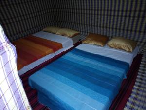 Sahara camel tours camp