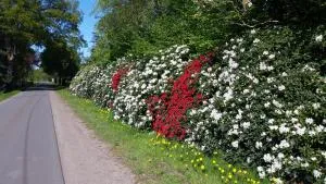 Ferienwohnung Morgensonne - Westerstede