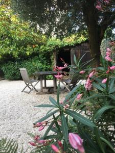 Appartements Le petit clos de Saint Goustan : photos des chambres