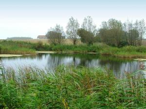 Luxury Spa Retreat by Sea - By Traum Ferienwohnungen