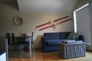 Myrkdalen Resort- studio apartment - Myrkdalen