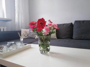 Apartment Oświęcim klimatyzowany