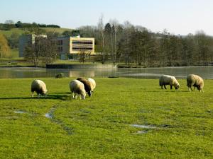 Youth Hostel Echternach