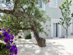 Apartment Nanara